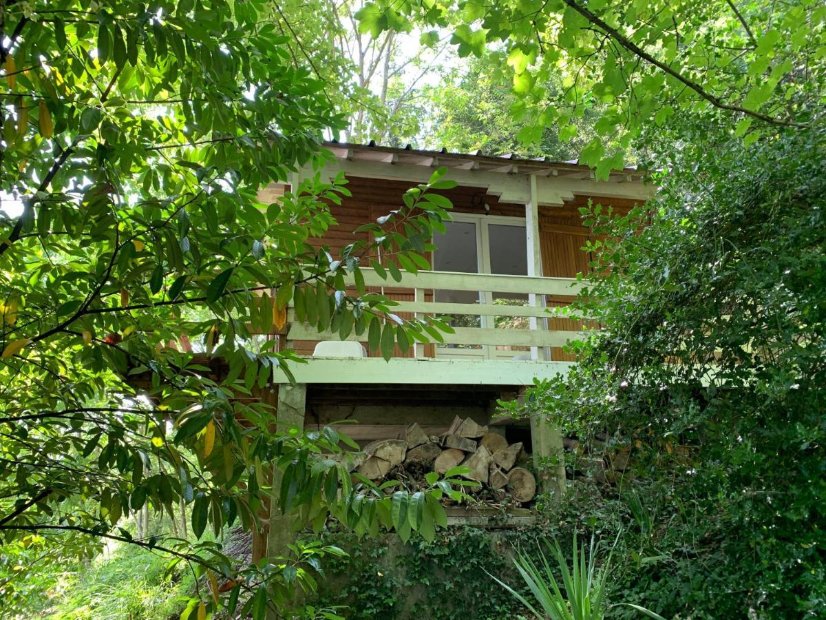 Willa Chalet En Bord De Seine Le Coudray-Montceaux Zewnętrze zdjęcie